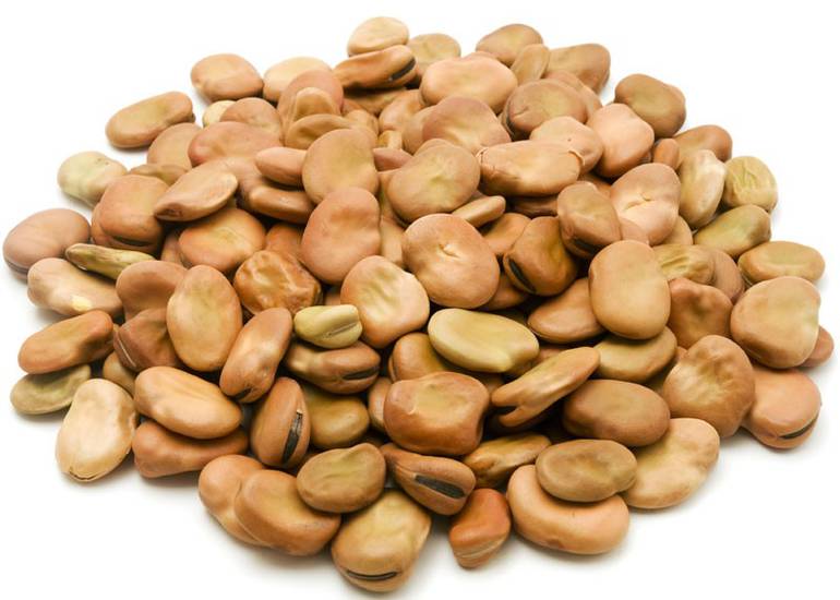 فول مدمس بلدي